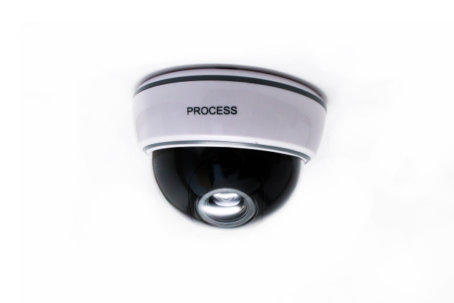 Муляж купольной видеокамеры Process