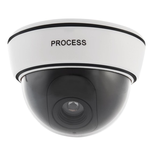 Муляж купольной видеокамеры Process